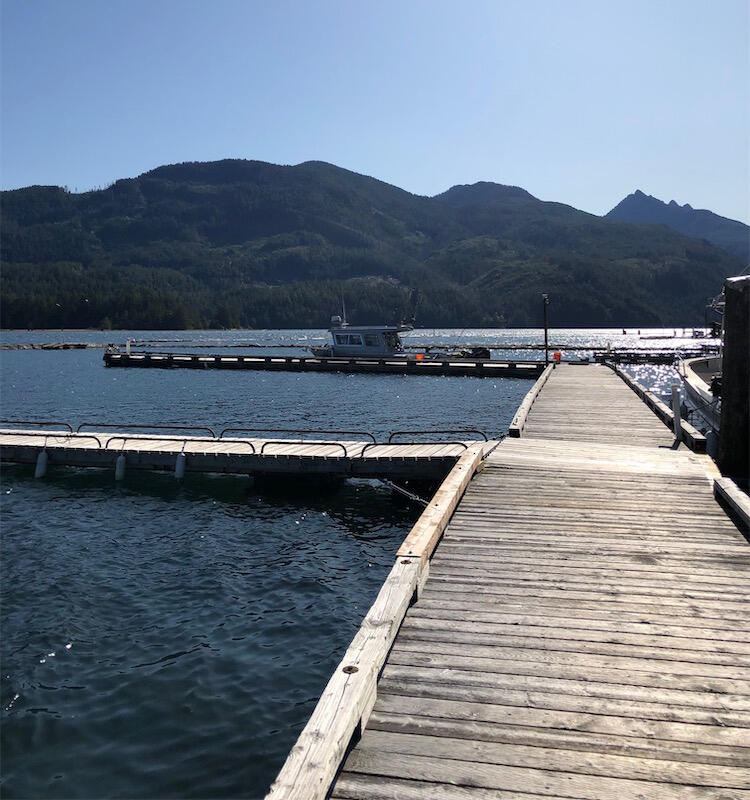 At the docks